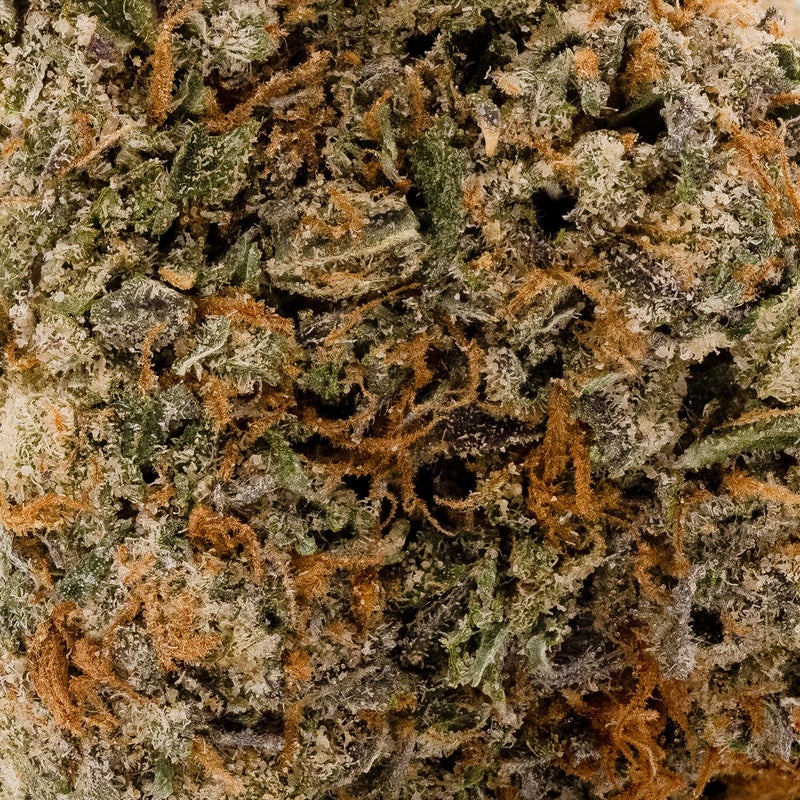 Cream Of The Crop - Gelato Push Pop