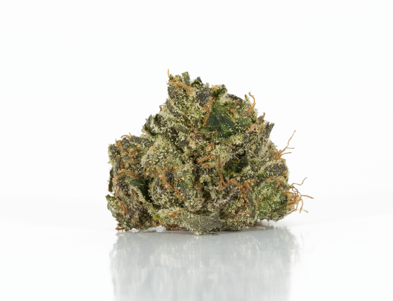 BC Legacy - Ghost Bubba