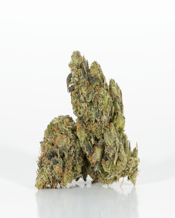BC Legacy - Ghost Bubba