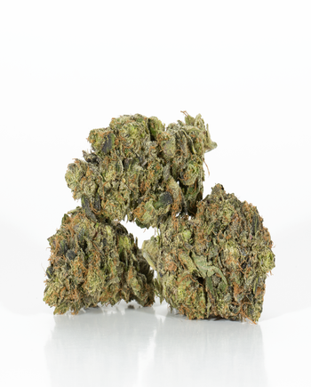 BC Legacy - Ghost Bubba