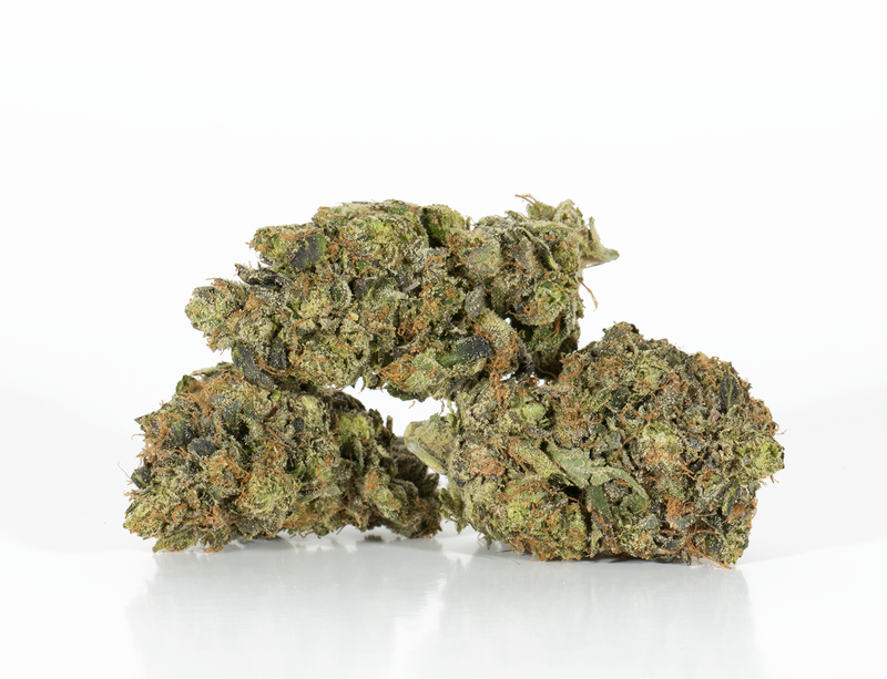 BC Legacy - Ghost Bubba