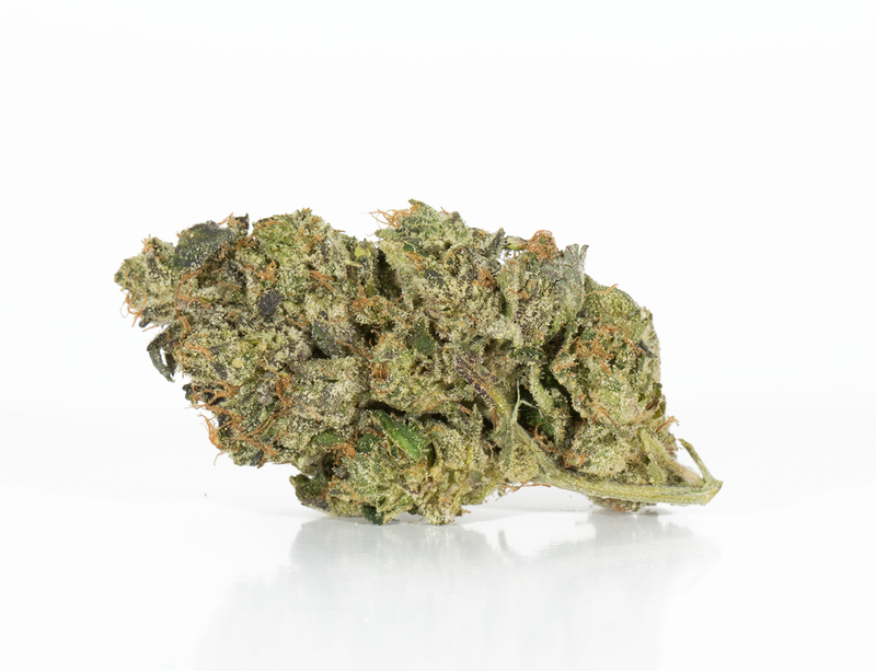 BC Legacy - Ghost Bubba