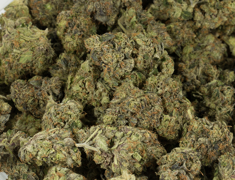 BC Legacy - Ghost Bubba