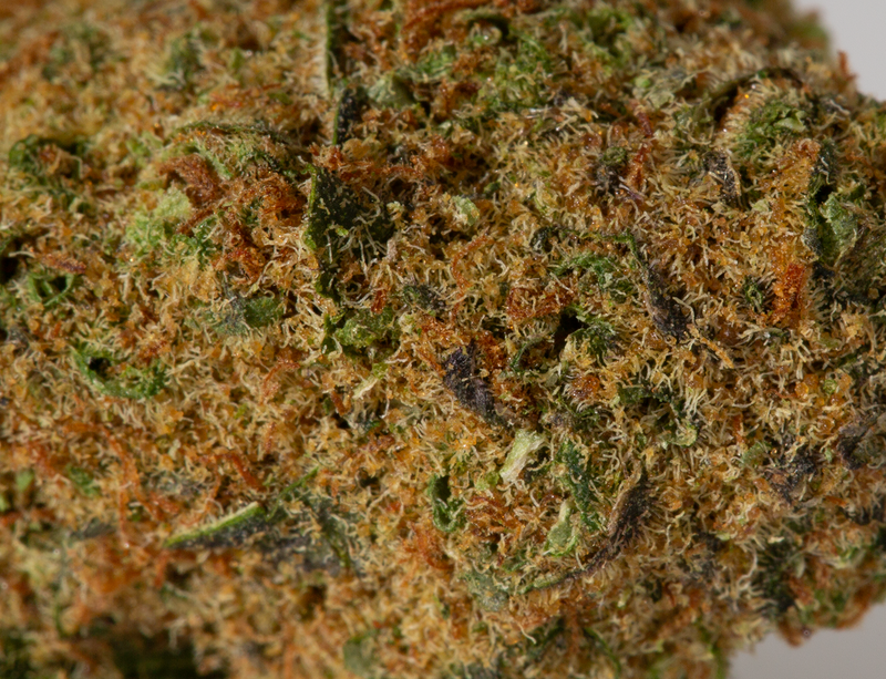 Astral Herbs - Pineapple Chunk