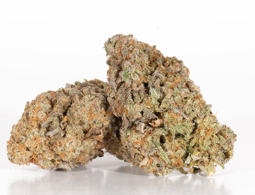 Sweet Tooth 2