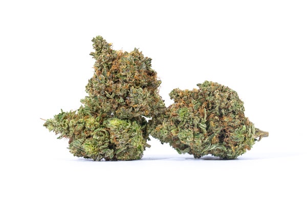 CRITICAL KUSH 4 min