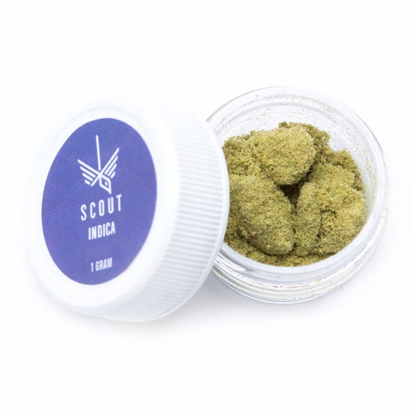 SCOUT KIEF INDICA 1 1024x1024 1