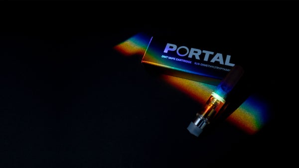 portal dmt header scaled 1