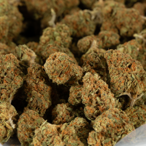 Maui Mango Diesel 5 2