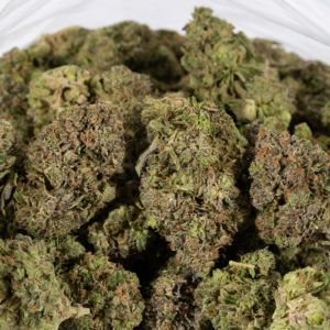 Pink Panther 5 1