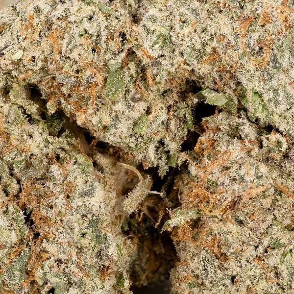 BlueCheese 05 5