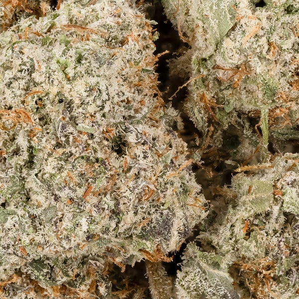 BlueCheese 06 5