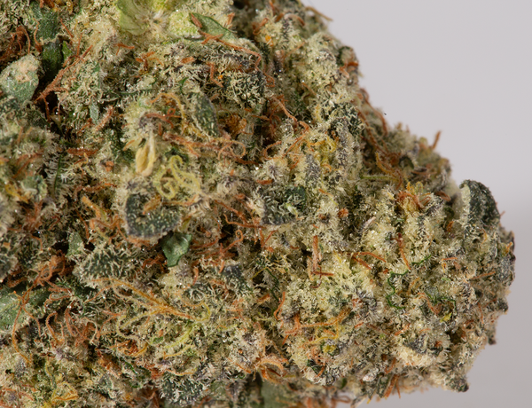 Green Crack 5 1