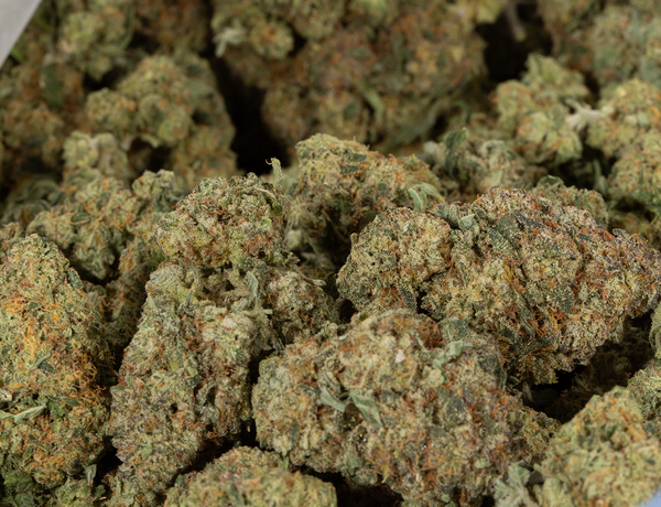 Green Crack 6