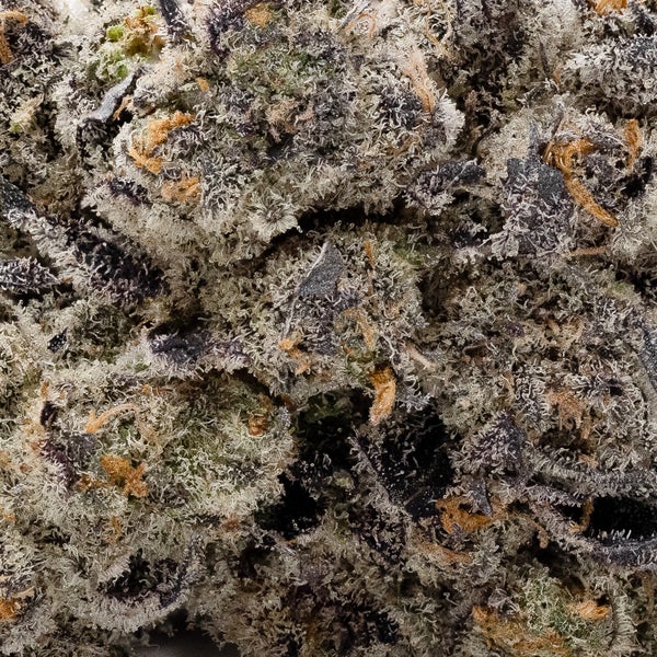 PurplePunch 05 1