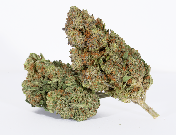 SkyWalker OG 1