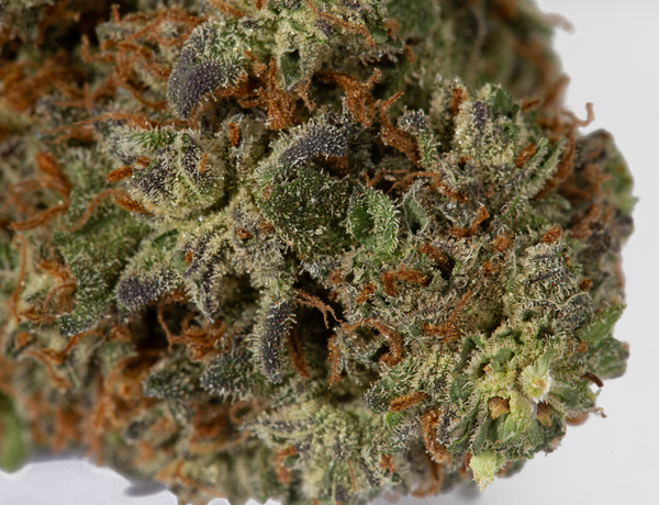 SkyWalker OG 4