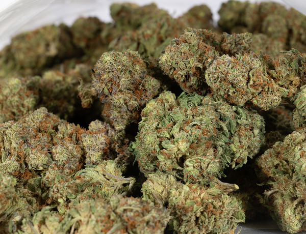 SkyWalker OG 5
