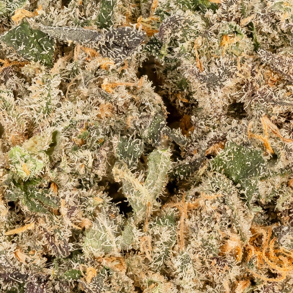 Zkittlez 06