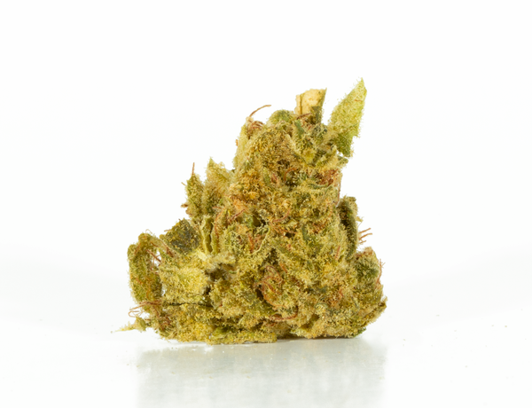 Jack Herer 1