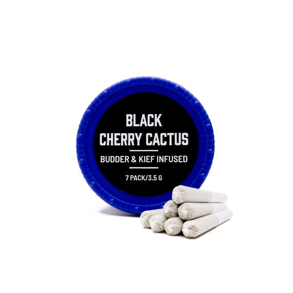 BlackCherryCactus 02 1