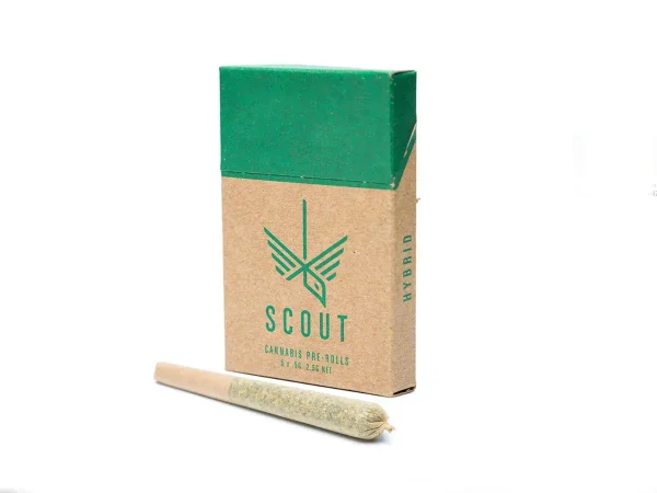 Scout Hybrid Pre Roll