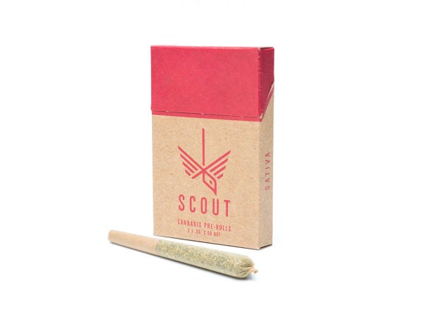 Scout Sativa Pre Roll 1