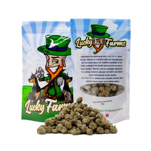 SuperSilverHazeSmalls LuckyFarms 01