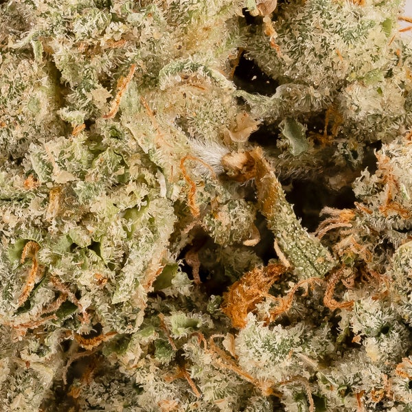 WIFI OG 06 1