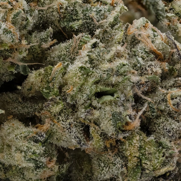 WhiteFireOG 05