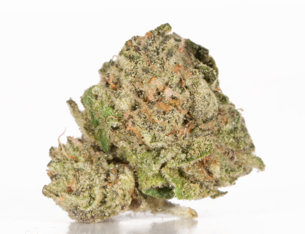 Sherbert 1 1 a