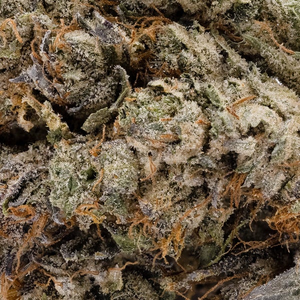 AnimalCookies LuckyFarms 05