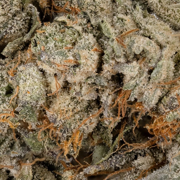 AnimalCookies LuckyFarms 06