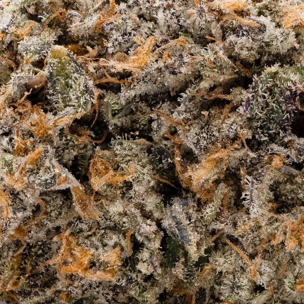 PeanutButterBreath 05