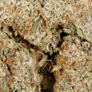 BlueCheese 05