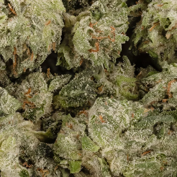 PeanutButterBreathSmalls LuckyFarms 03