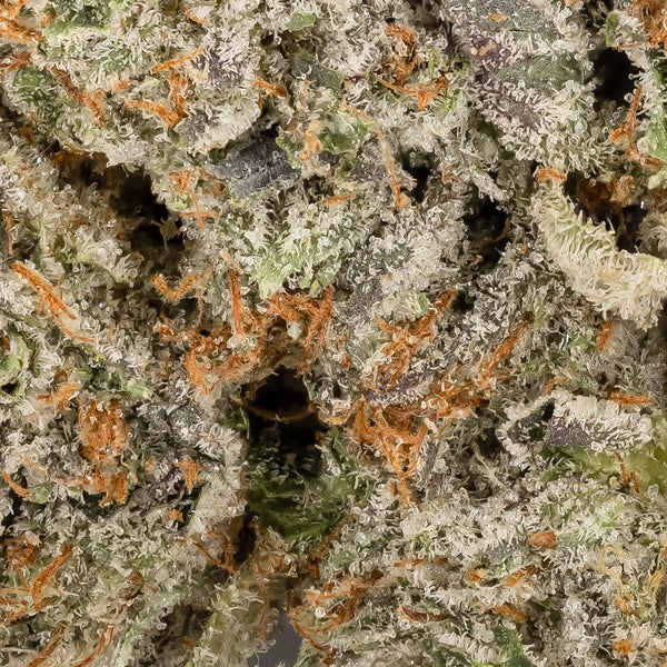PineTarKush Hoot 06