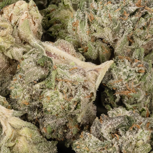 RuntzSmalls LuckyFarms 03 1