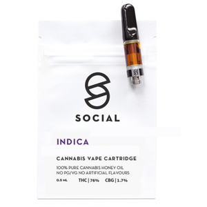 SOCIAL 0.5ML HONEY OIL CART INDICA