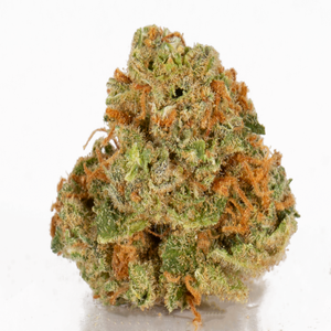 Dutch Treat 1 1