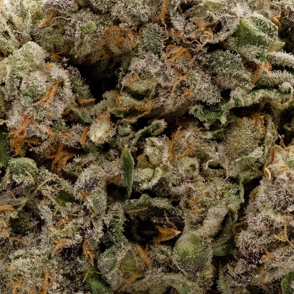 Fun Buds Vice city