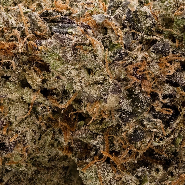MK ULtra Merry jane 2