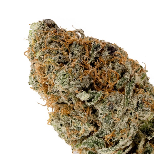 TruffleMonkey Okanaganja 04 1