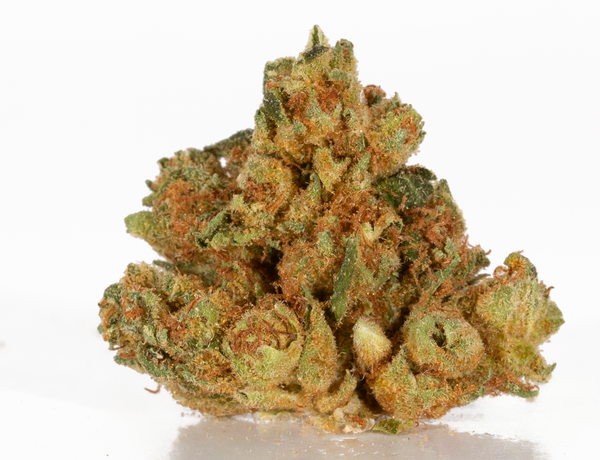 Jet Fuel 1