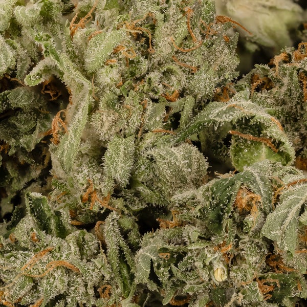 DeathBubbaSmalls LuckyFarms 02
