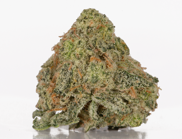 Goji OG 1 1 a