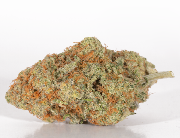 Goji OG 4 1 a