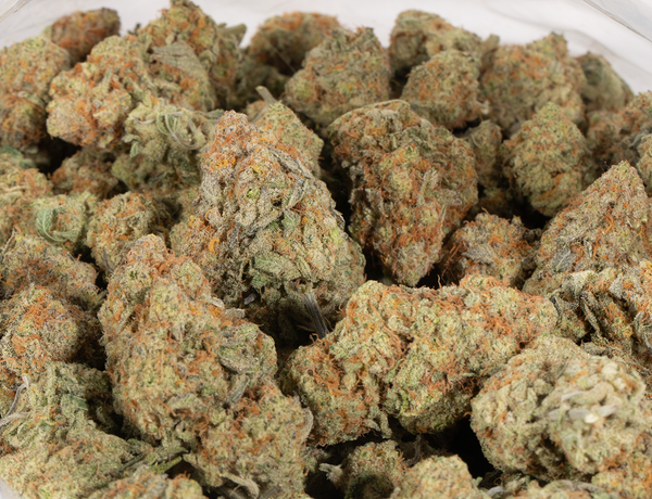 Goji OG 6 1 a