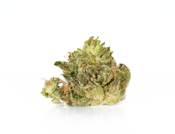 Master Bubba 1a 1