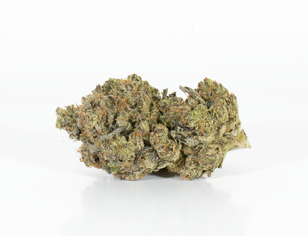Master Bubba 4a 1